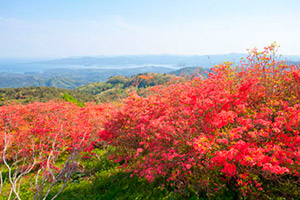 20130526田束山つつじまつり福興市