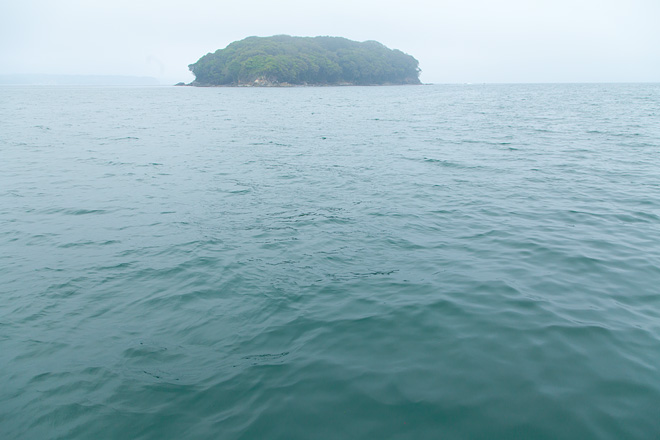 南三陸町 椿島