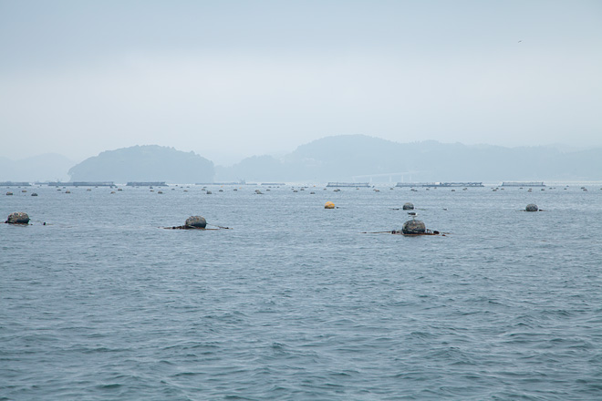 南三陸町 椿島