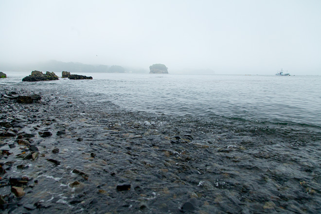 南三陸町 椿島