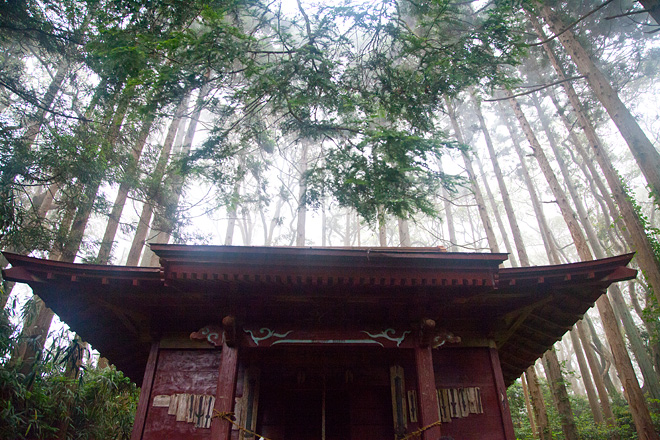 南三陸町 椿島