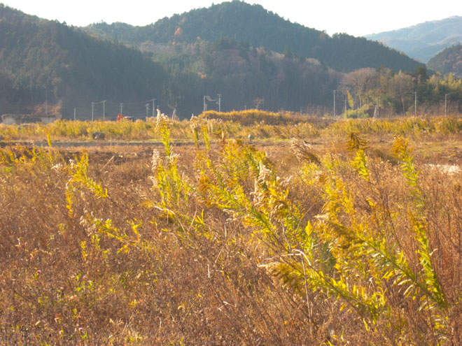 2014年11月27日の南三陸町