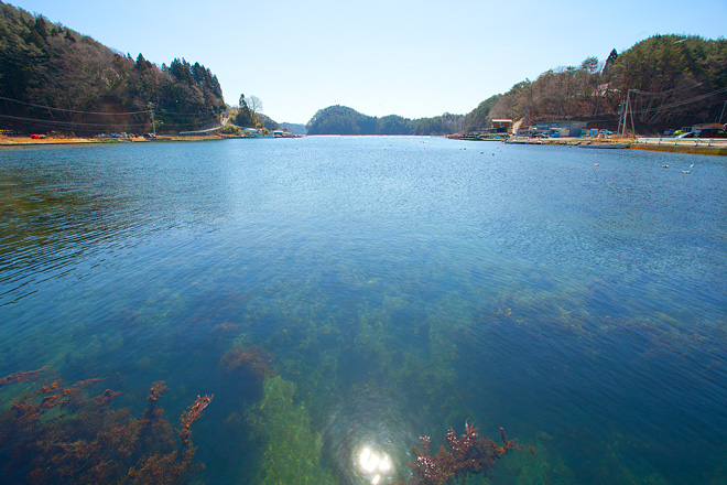 森と海は恋人