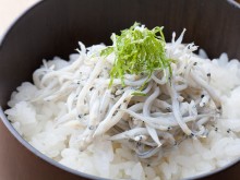 釜あげシラス丼