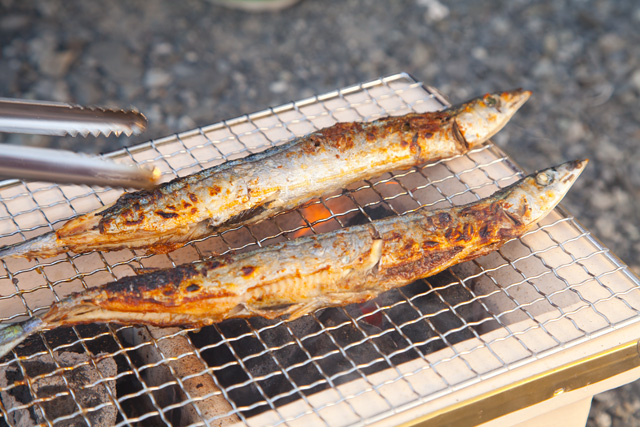 失敗しない さんまの焼き方(七輪編)