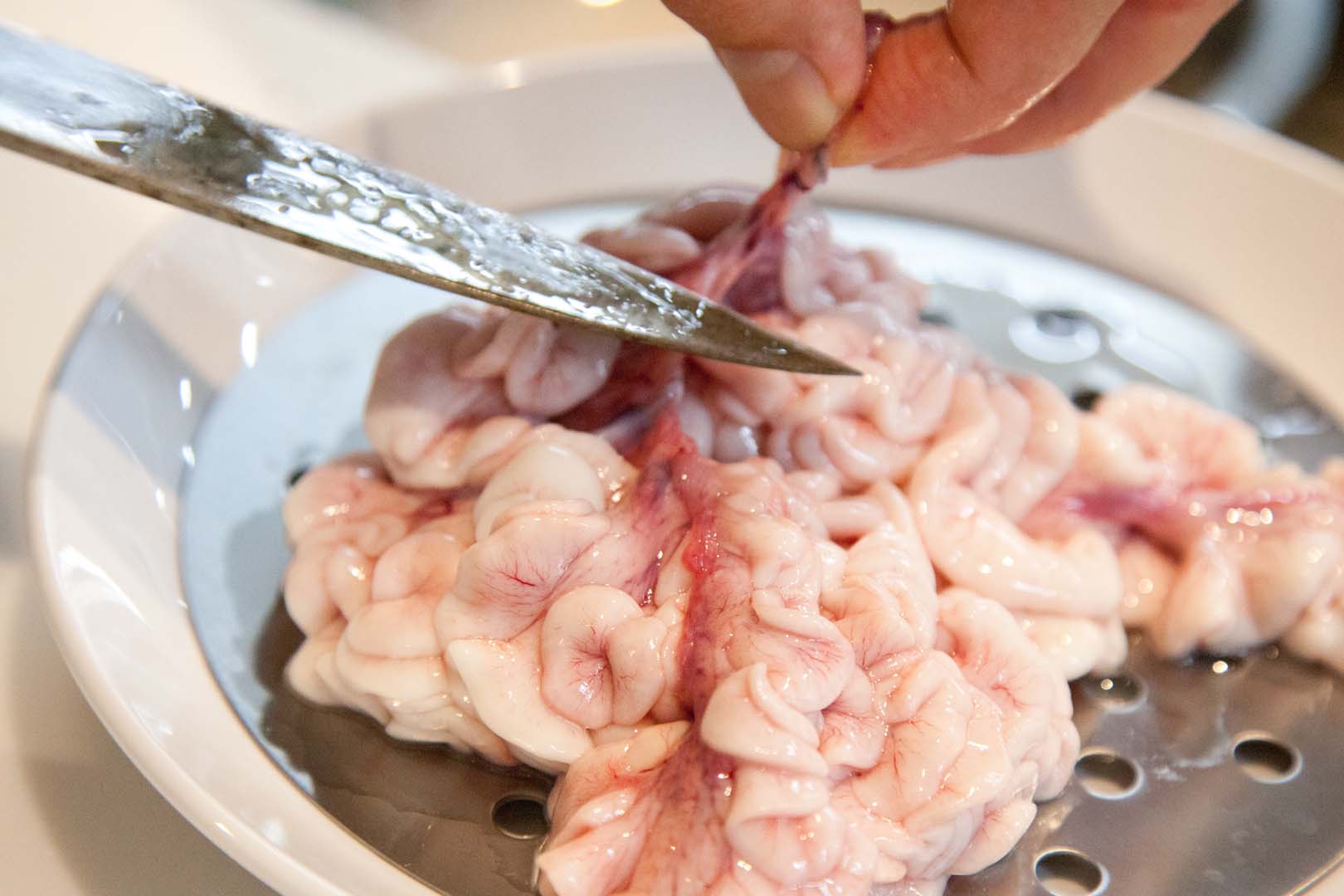 鮮度抜群！白子たっぷり!『寒鱈セット』をスタッフがお取り寄せ体験しました