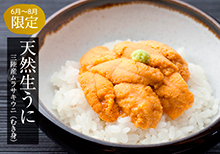 うに って何 魚介類の通販 山内鮮魚店