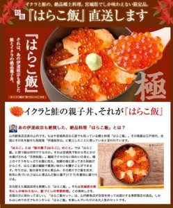 本場宮城県から自宅で楽しめる『はらこ飯セット』を直送！はらこ飯の取り寄せ・通販なら山内鮮魚店