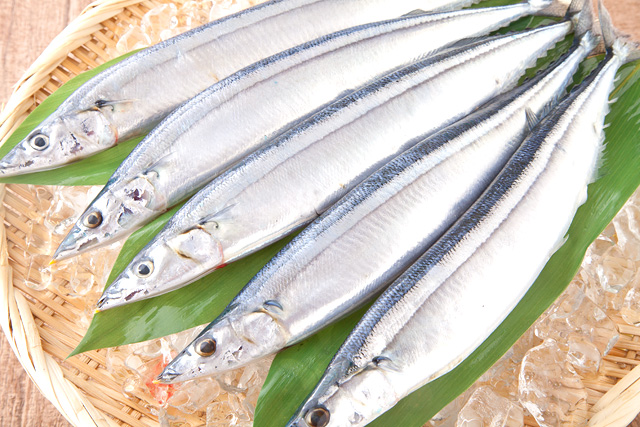 冷凍したサンマもお刺身にできますか 魚介類の通販 山内鮮魚店