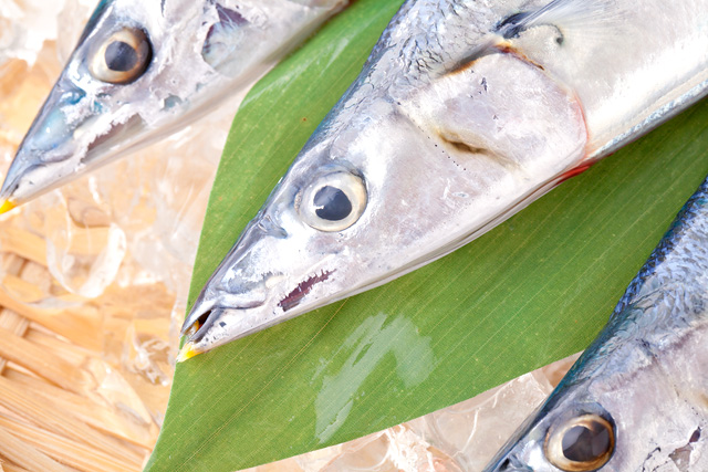 冷凍したサンマもお刺身にできますか 魚介類の通販 山内鮮魚店