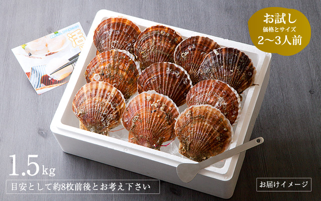 【送料込み】三陸産殻付活ホタテ 約1.5kg(目安として約6枚前後)