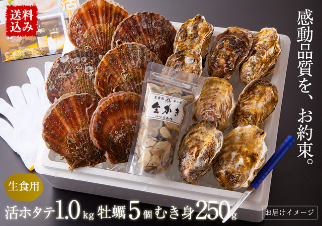 【送料込み】三陸産活ホタテ 約1.0kg(4～8枚)・牡蠣大サイズ5個・生カキむき身300g ※各種レシピ・ナイフ・軍手付 《クール冷蔵発送》