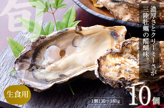 生食用三陸真牡蠣大サイズ10個　濃厚さとクリーミーさが三陸牡蠣の醍醐味。