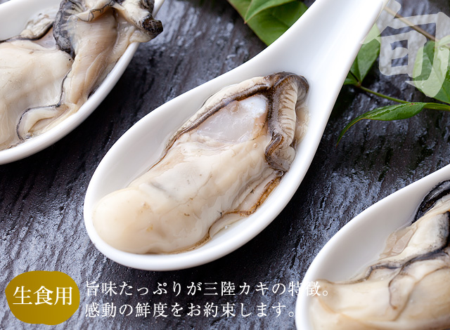 三陸産生カキ(むき身)|旨味たっぷりが三陸牡蠣の特徴・感動の鮮度をお約束します。