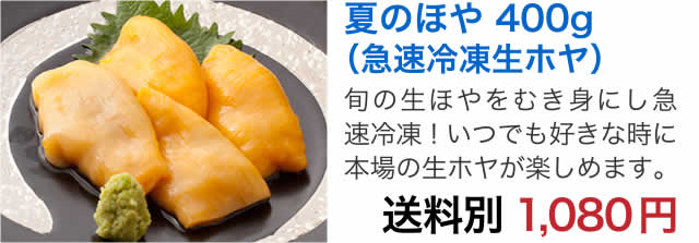 ほや燻製 殻付燻製ホヤ ホヤの通販なら山内鮮魚店 ほや燻製 殻付燻製ホヤ ホヤの通販なら山内鮮魚店