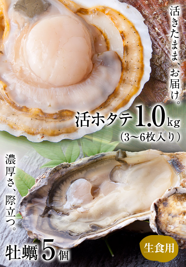 活ホタテ・牡蠣5個セット｜魚介類の通販 販売【山内鮮魚店】