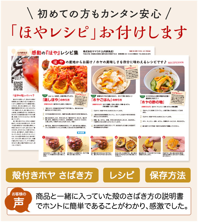 送料込み 三陸産 殻付生ほや ホヤの通販なら山内鮮魚店 送料込み 三陸産 殻付生ほや ホヤの通販なら山内鮮魚店