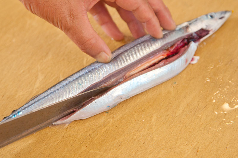 生さんまのさばき方 お刺身用 山内鮮魚店の海鮮レシピ