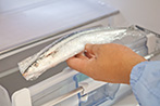 生さんまの保存方法（5）生さんまを冷蔵保存する