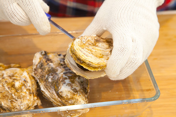 牡蠣 レンジ 生 生牡蠣の電子レンジで簡単にできちゃう食べ方を紹介します！