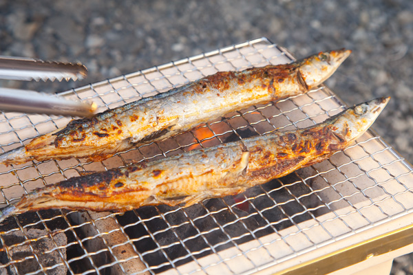 七輪で焼く さんまの焼き方