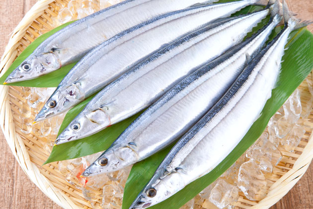 サンマ|大変おいしくいただきました。